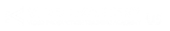 video mastery logo